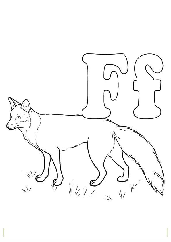 the-fox