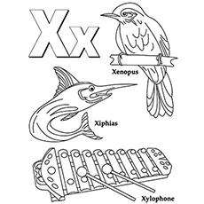 Animals with letter X coloring page