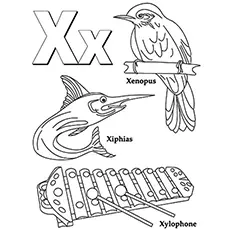 Animals with letter X coloring page