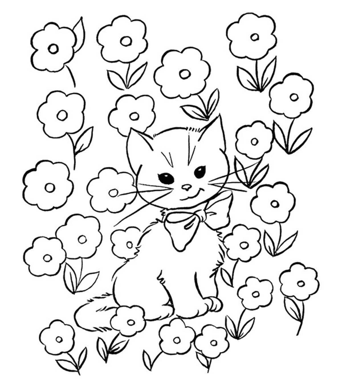 Cat Drawing and Coloring Pages for kids