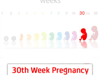 30 Weeks Pregnant: Baby Development, Symptoms And Tips