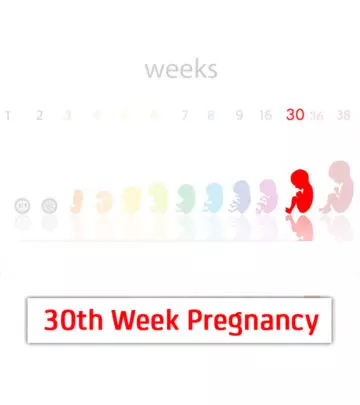 30th Week Pregnancy