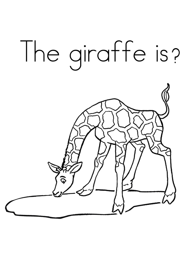 A-Giraffe-Is