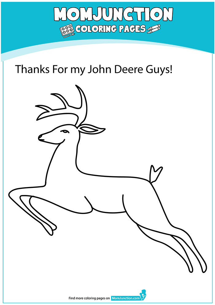A-Thankful-Deer-16