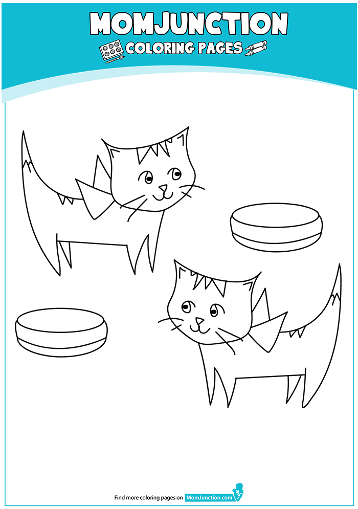 Cats-With-Bowls-16