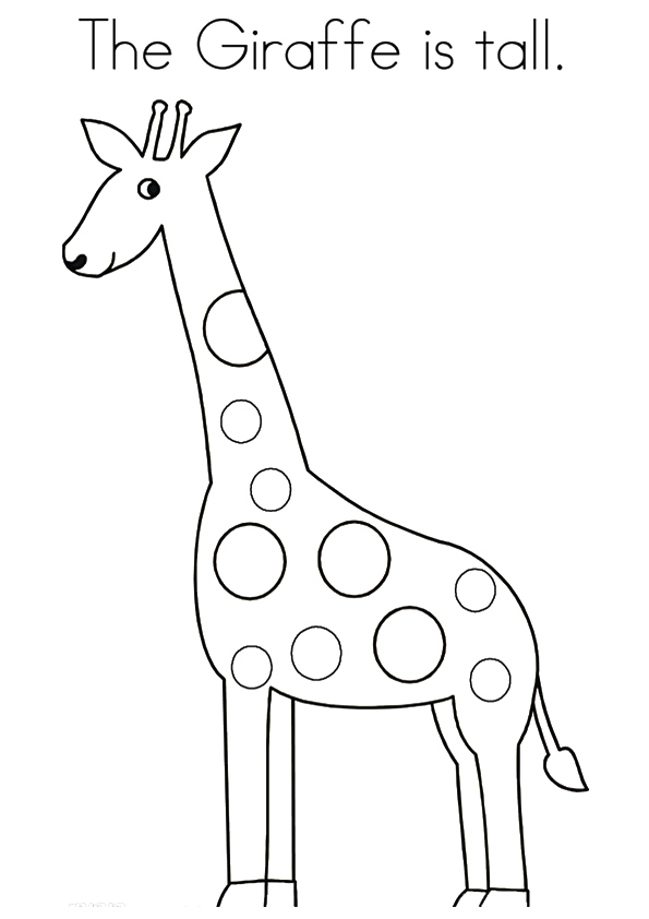 Giraffe-Is-Tall