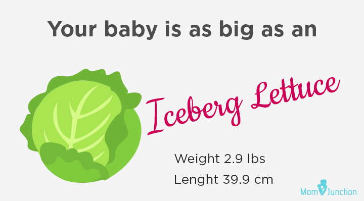 How big is your baby at 30th week pregnancy