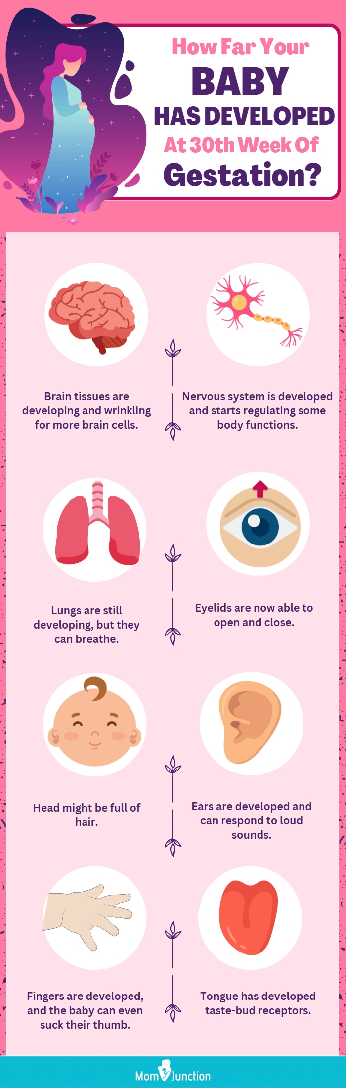 how far your baby has developed at 30th week of gestation (infographic)
