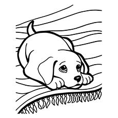 cute kitten and puppy coloring pages