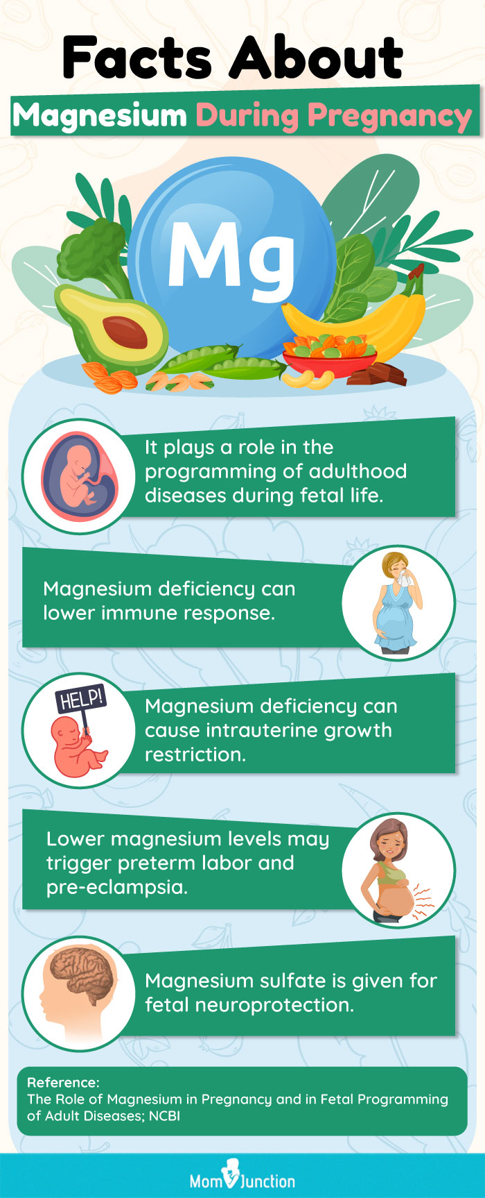 facts about magnesium during pregnancy (infographic)