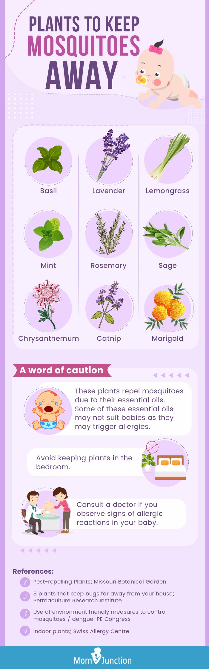 plants to keep mosquitoes away (infographic)