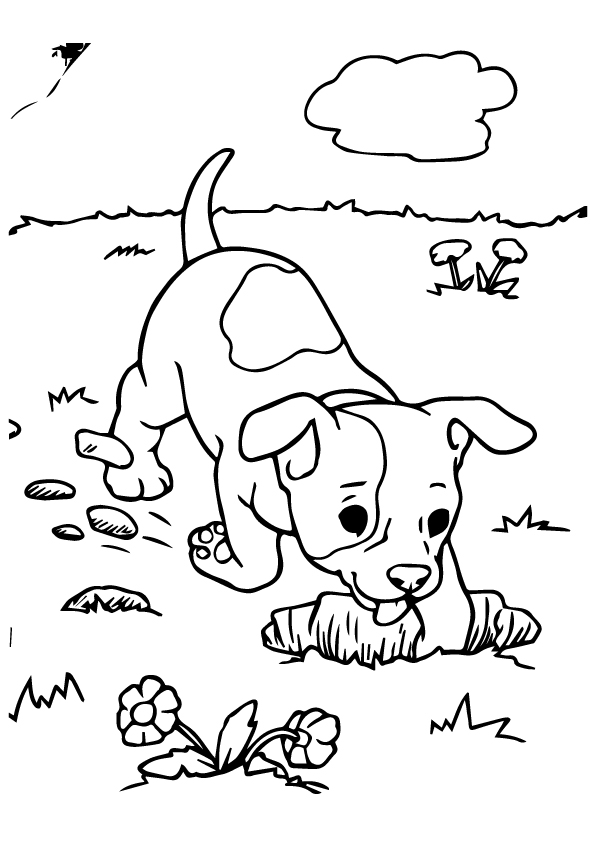 Puppy-Digging