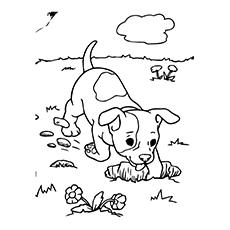 Puppy digging coloring page