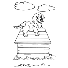 Puppy on a table coloring page