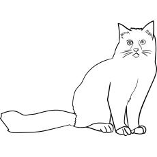 Top 30 Free Printable Cat Coloring Pages For Kids