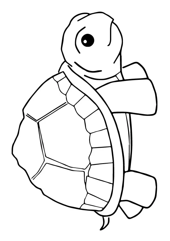 Small-Turtle-colouring