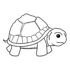 cartoon turtle coloring pages for kids