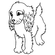 Spaniel puppy coloring page