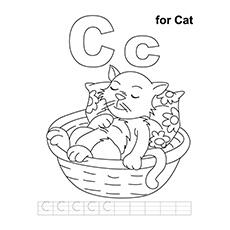 A cat for cat picture coloring page_image