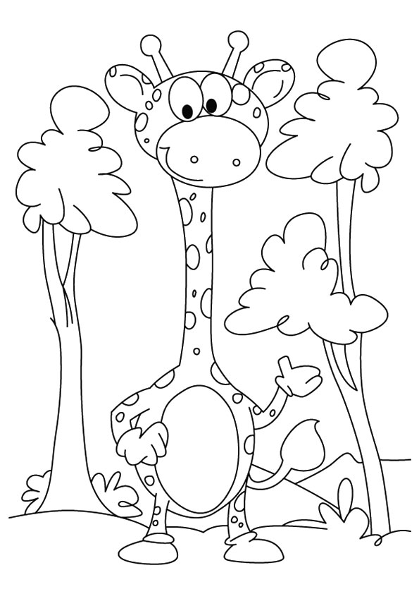 The-Baby-Giraffe-Among-Trees