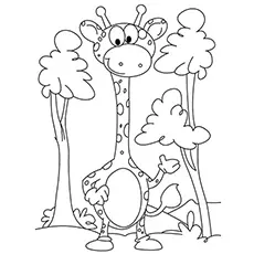 Baby giraffe among trees coloring page