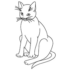 Big cat coloring page_image