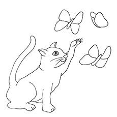 Cat trying to catch butterfly coloring page