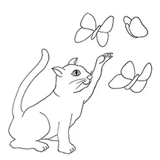 Cat trying to catch butterfly coloring page_image