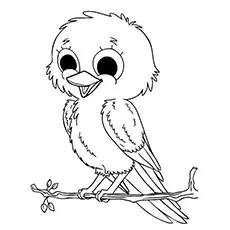 The Canary Bird Coloring Pages