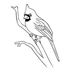 Featured image of post Bird Coloring Pages For Toddlers