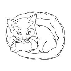 Realistic cat sitting in basket coloring page