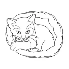 Realistic cat sitting in basket coloring page_image