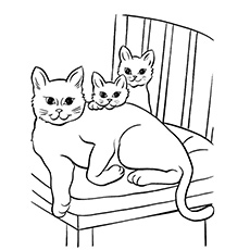 Mother cat with kittens on a chair coloring page