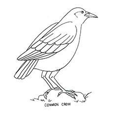 Simple coloring page for kids 4-8 age white and black, bird on a