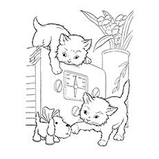 coloring pages of cats and dogs