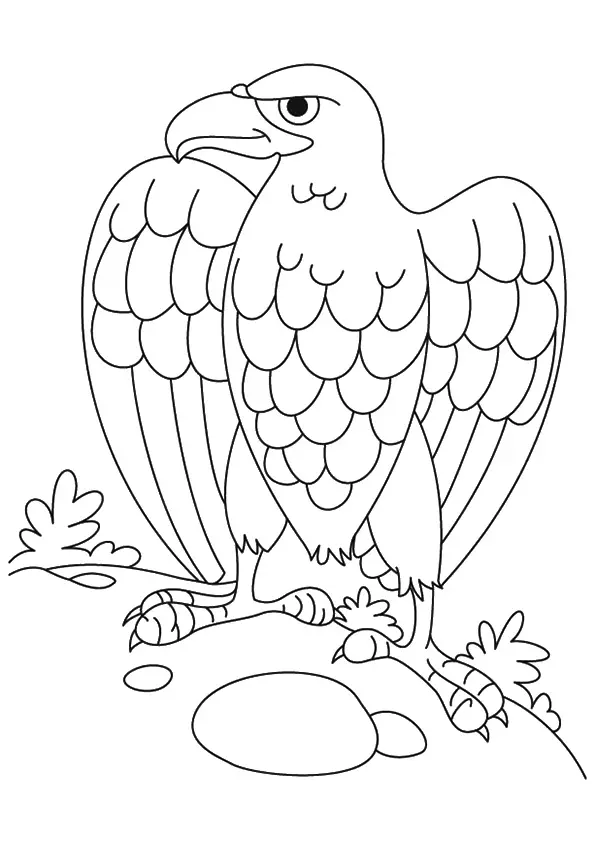 The-Eagle