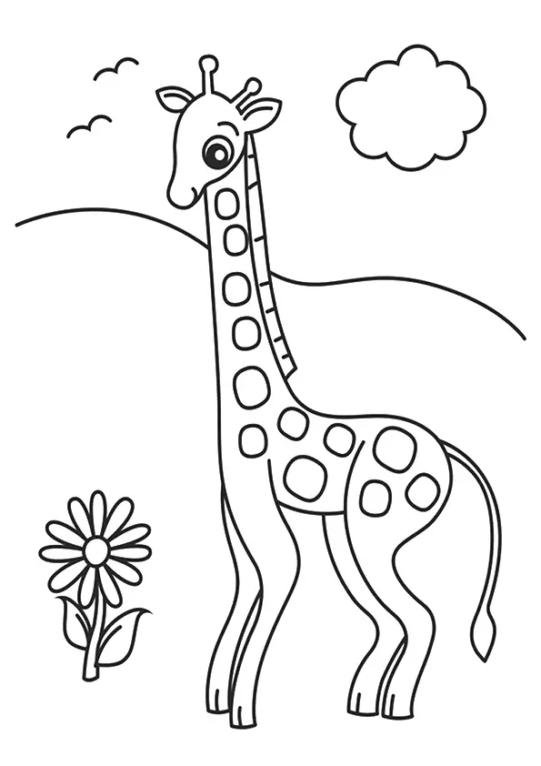 The-Giraffe-And-Flower