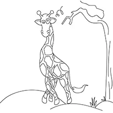 The Giraffe Going Crazy coloring page
