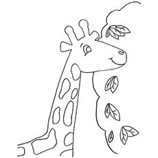 Giraffe eating leaves coloring page