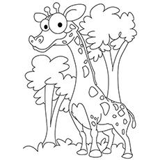 Giraffe with big eyes coloring page