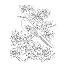 coloring pages of birds and flowers