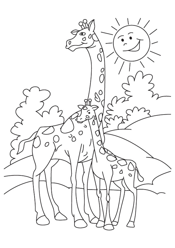 The-Mother-And-Baby-Giraffe-Bonding