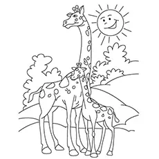 Mother And Baby Giraffe Bonding coloring page