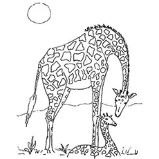 Mother And Calf Bonding coloring page