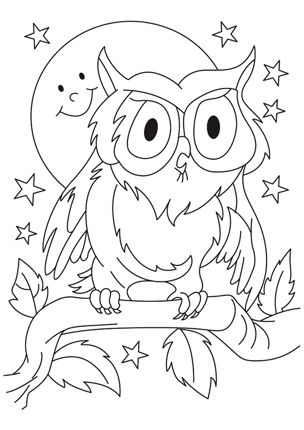The-Owl