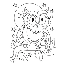 The Owl Bird Coloring Pages