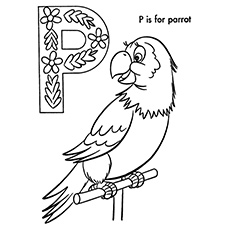 The Parrot Bird Coloring Pages