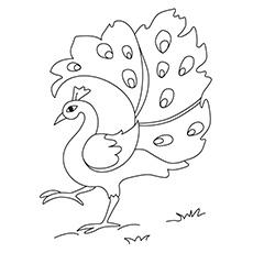 The Peacock Bird Coloring Pages