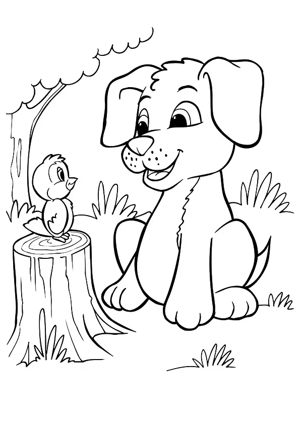 The-Pup-And-Bird