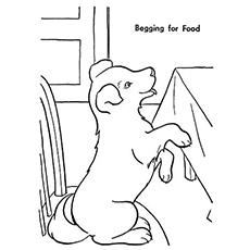 Pup begging for food coloring page